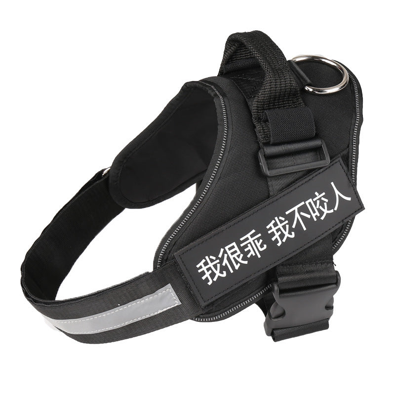 Chest Harnes & Leash