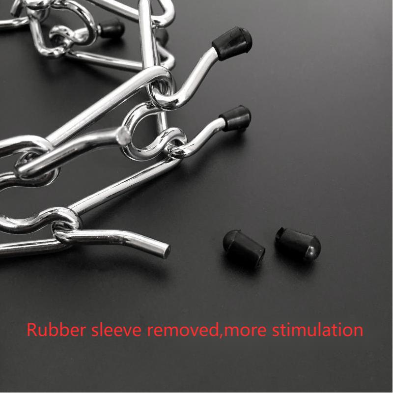 Chrome Plated Pinch Dog Collar