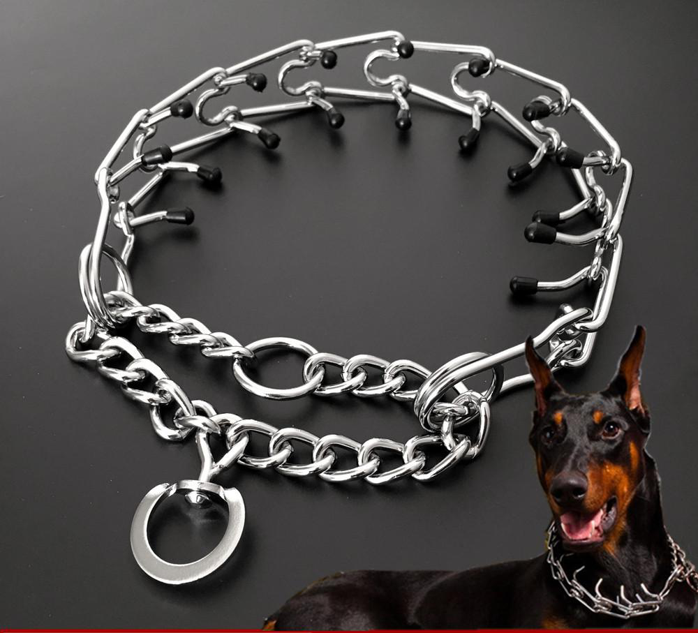 Chrome Plated Pinch Dog Collar
