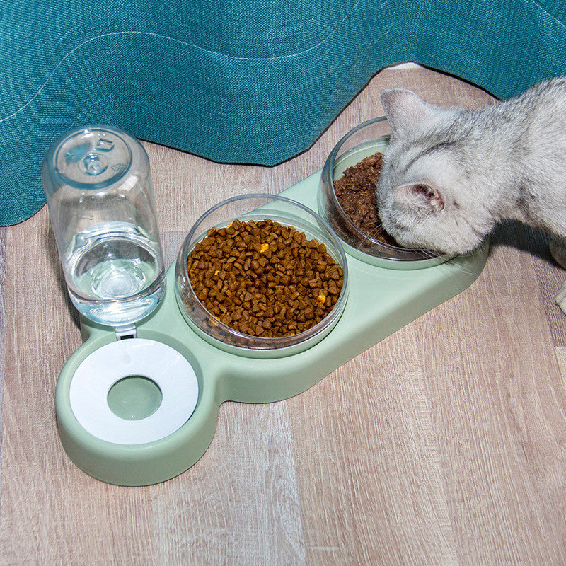 Automatic Feeder for dog and cat