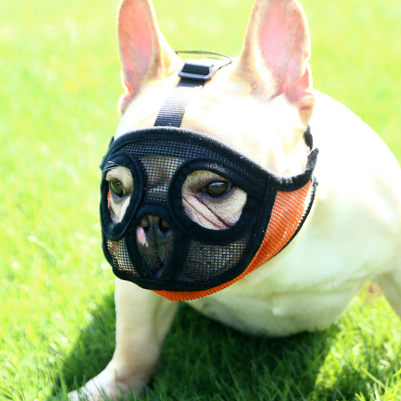 Small Dog French Bulldog Muzzle