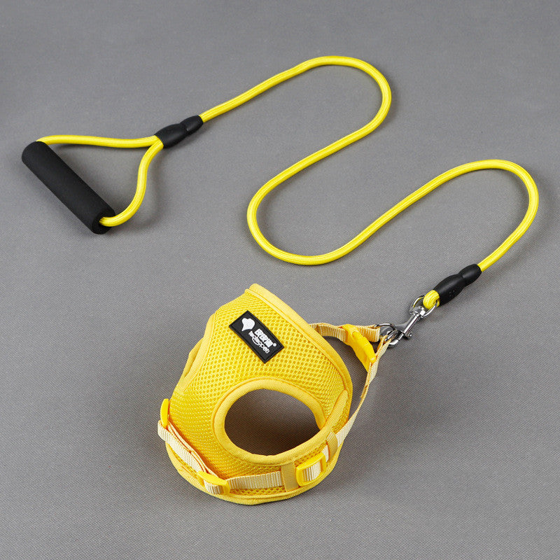 Dog \leash and collar