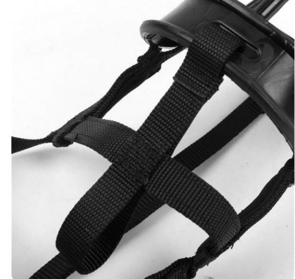 Pet Muzzle Dog