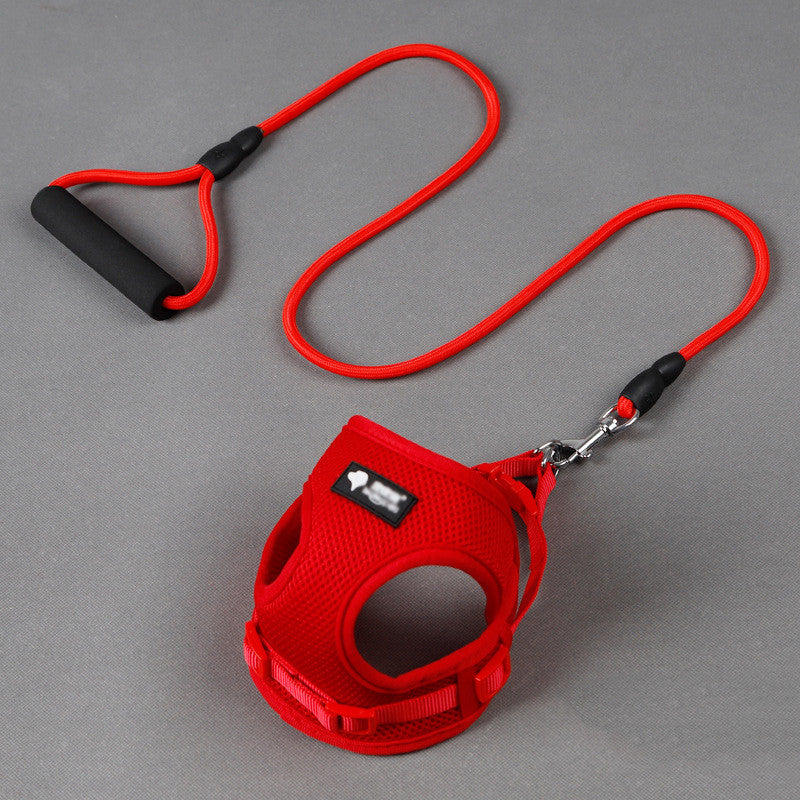 Dog \leash and collar