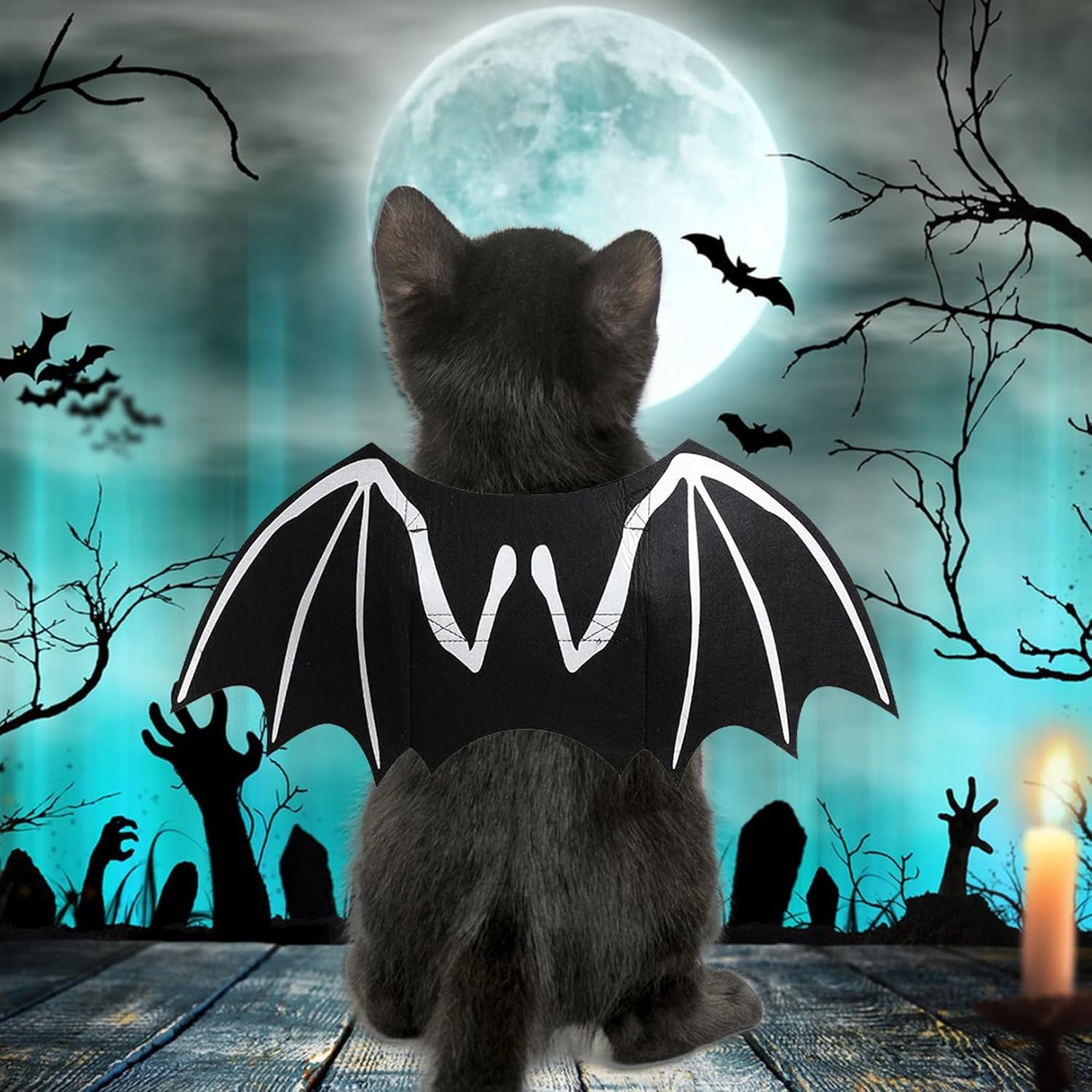 Dog Halloween Costumes