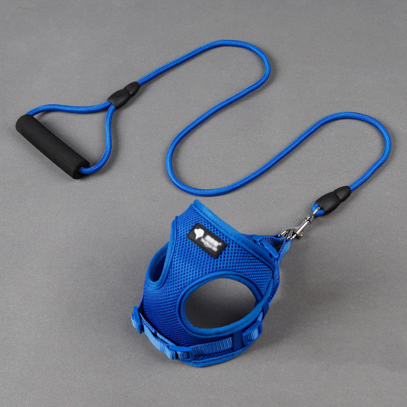 Dog \leash and collar