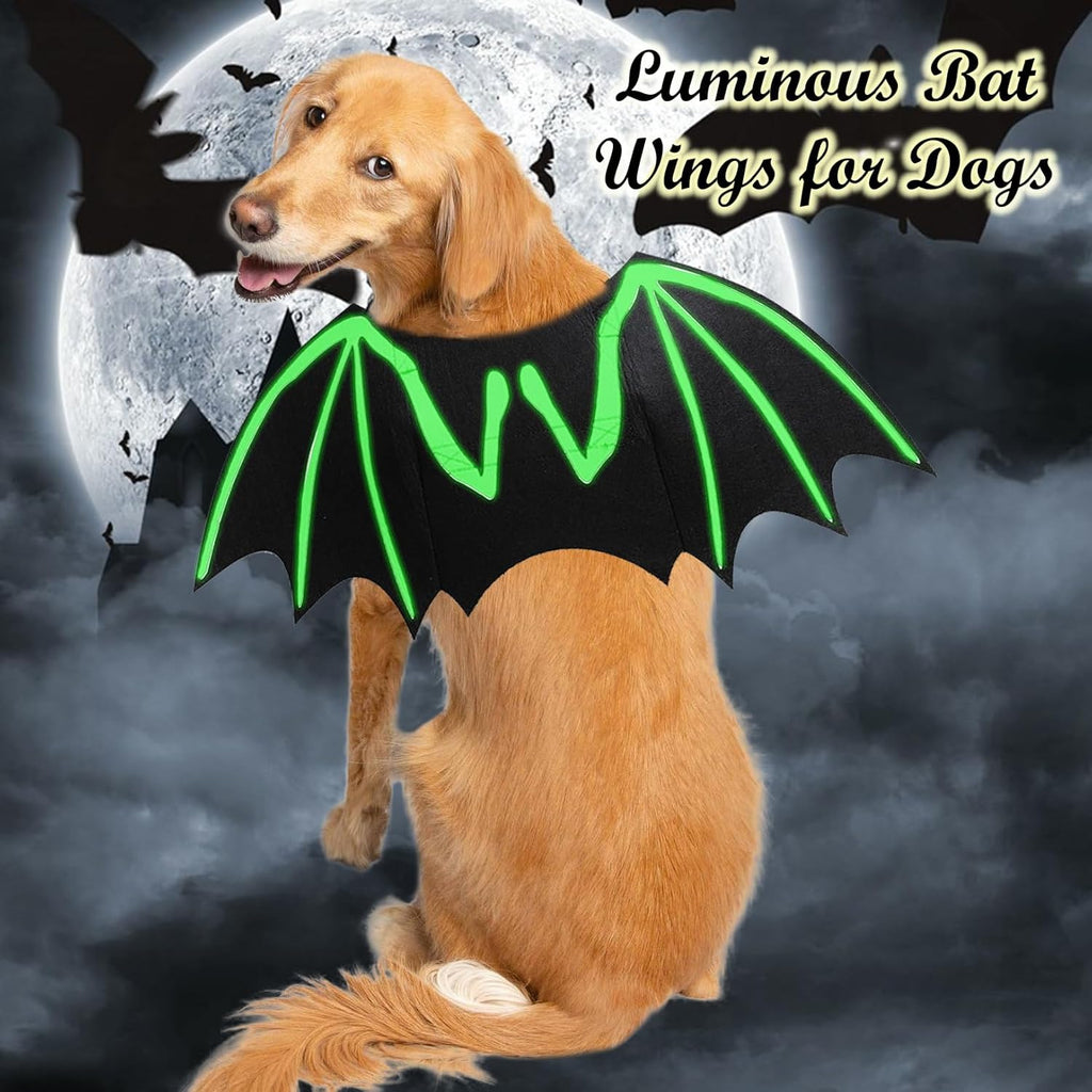 Dog Halloween Costumes