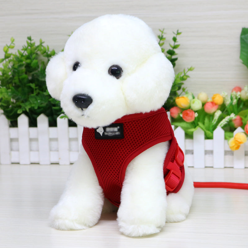 Dog \leash and collar