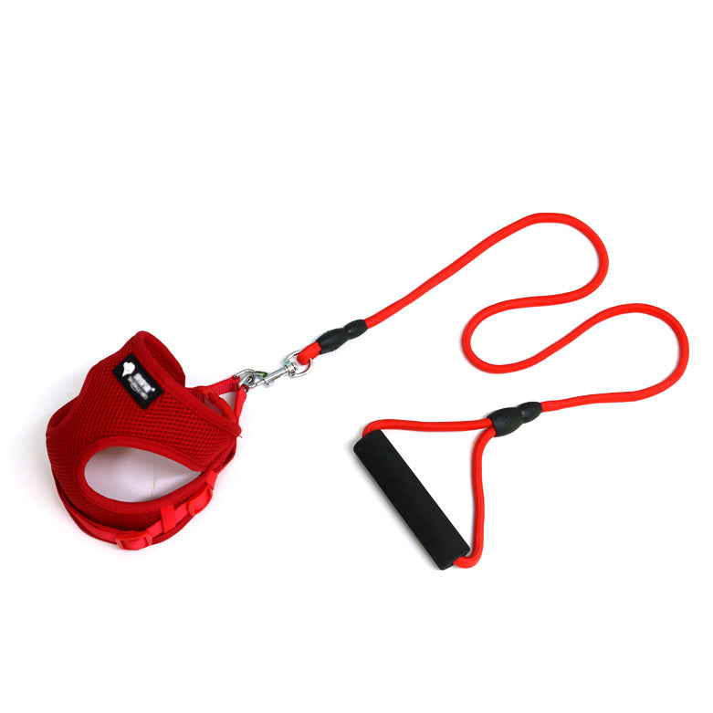 Dog \leash and collar