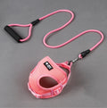 Dog \leash and collar