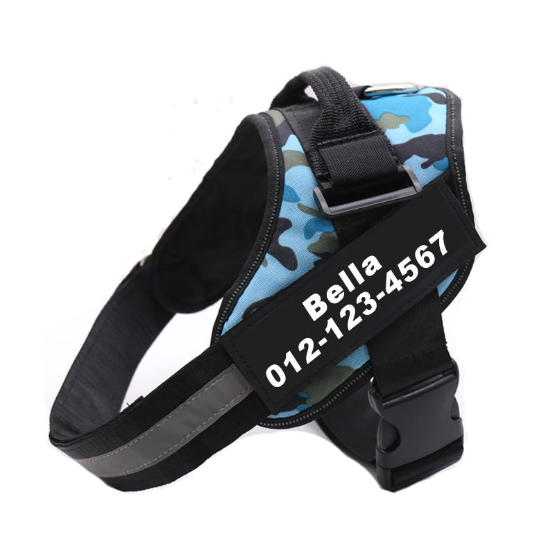 Dog Leash Rope