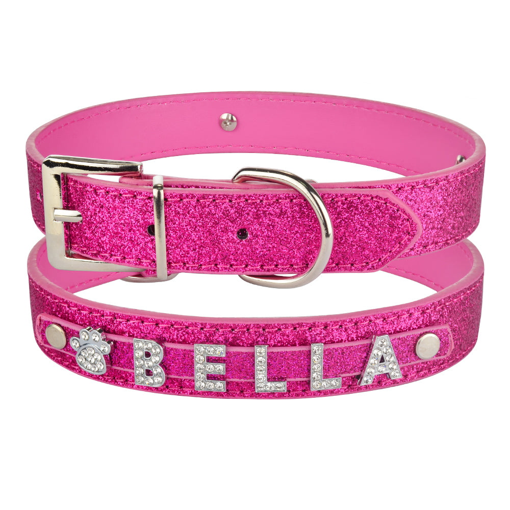 DIY Alphabet Dog Name Pet Collar
