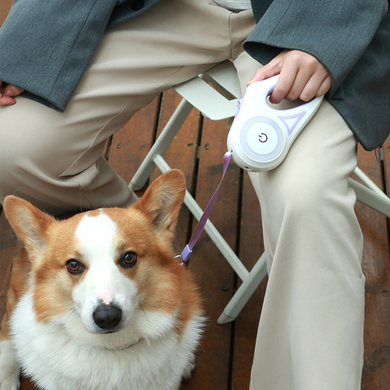 Dog Retractable Leash and Dog Collar Spotlight Automatic
