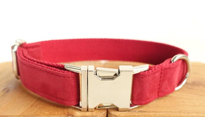 Pet Dog Collar