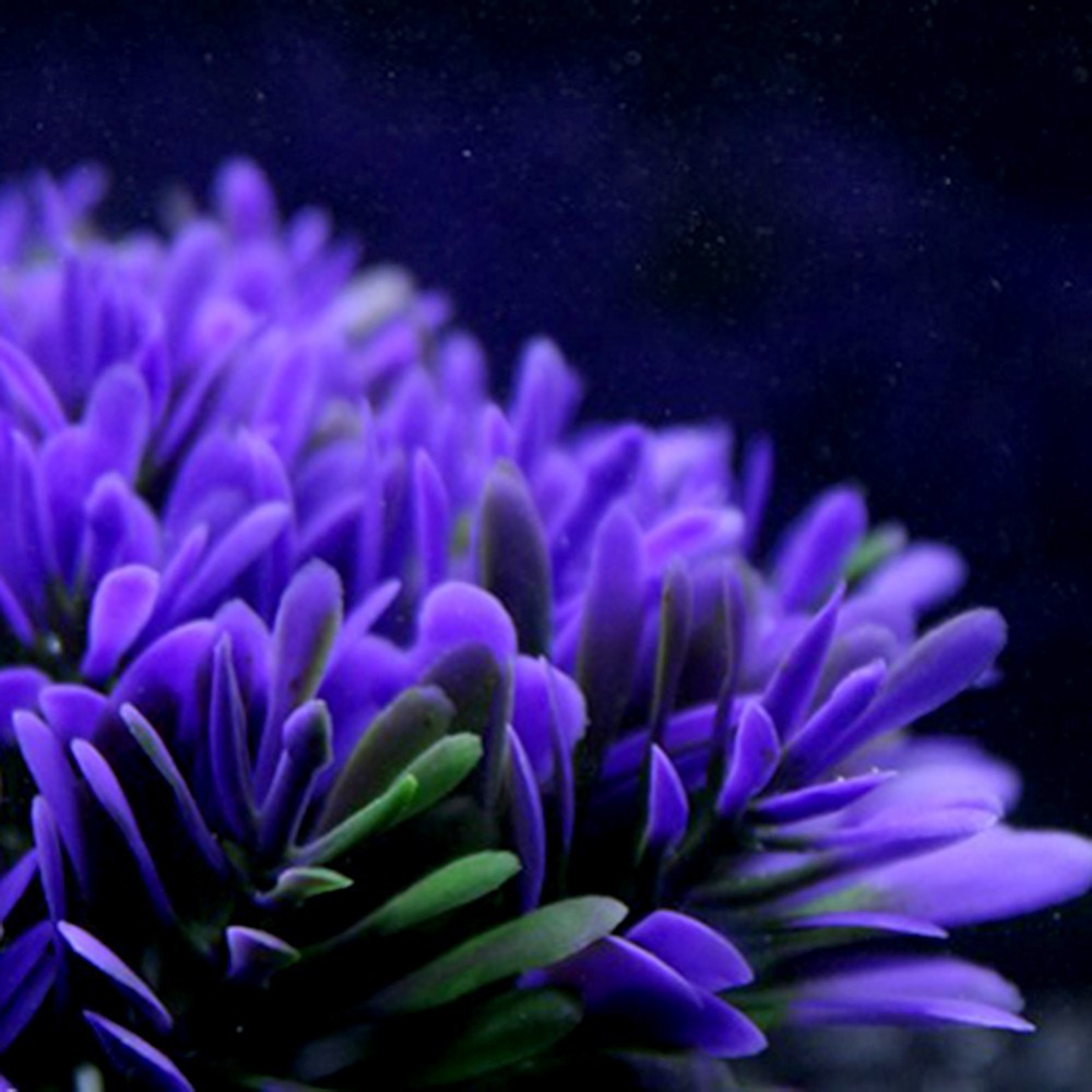 Fish tank aquarium accessories