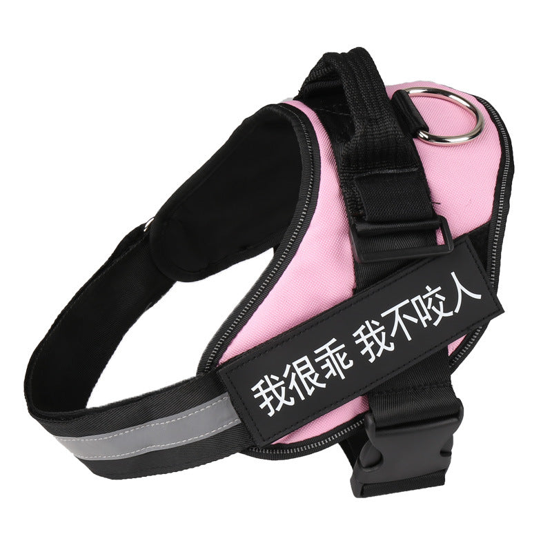 Chest Harnes & Leash
