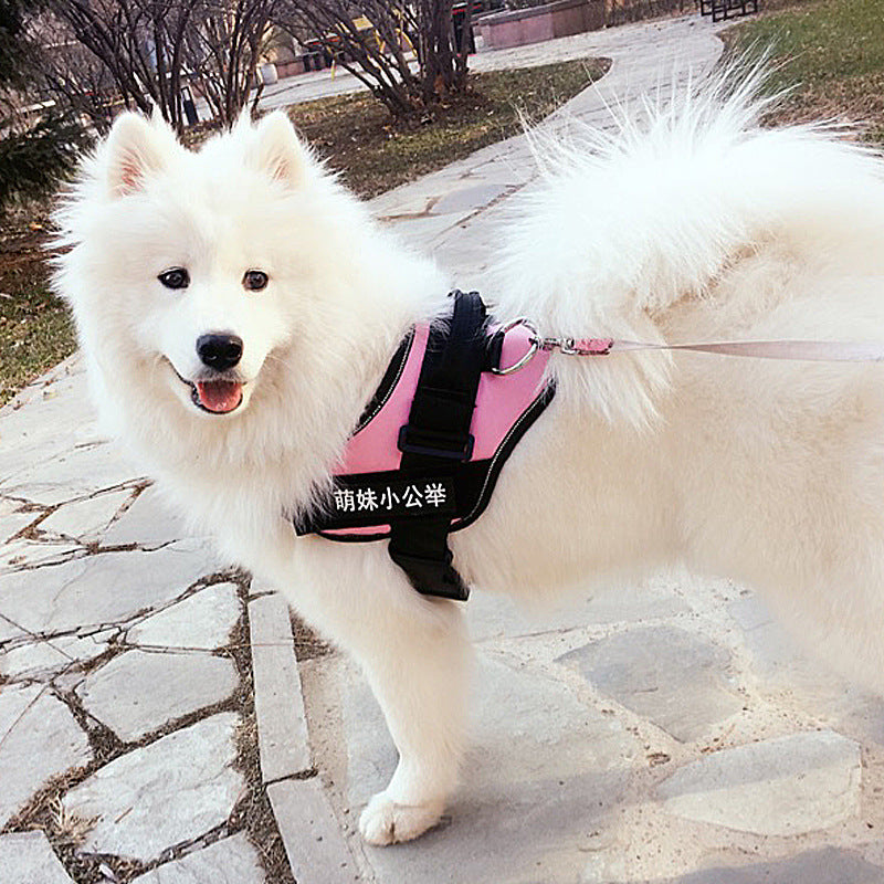 Chest Harnes & Leash