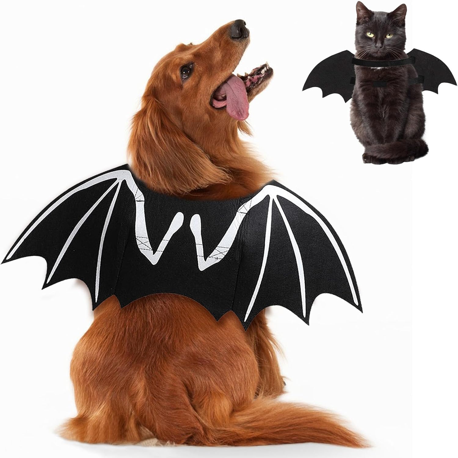 Dog Halloween Costumes