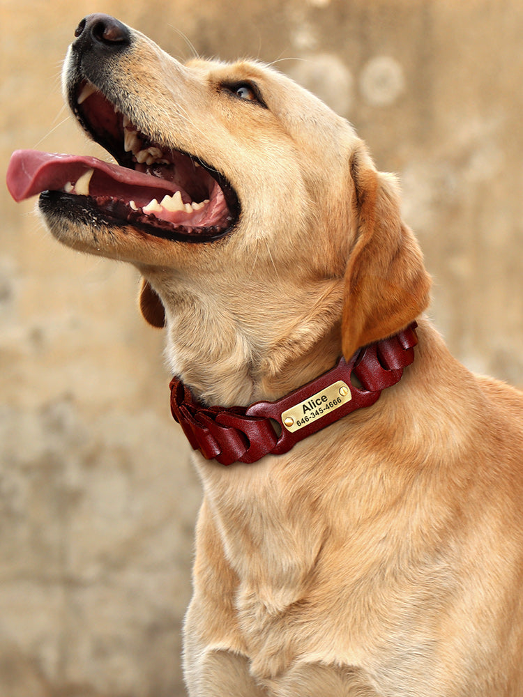 Dog Braided Leather Collar
