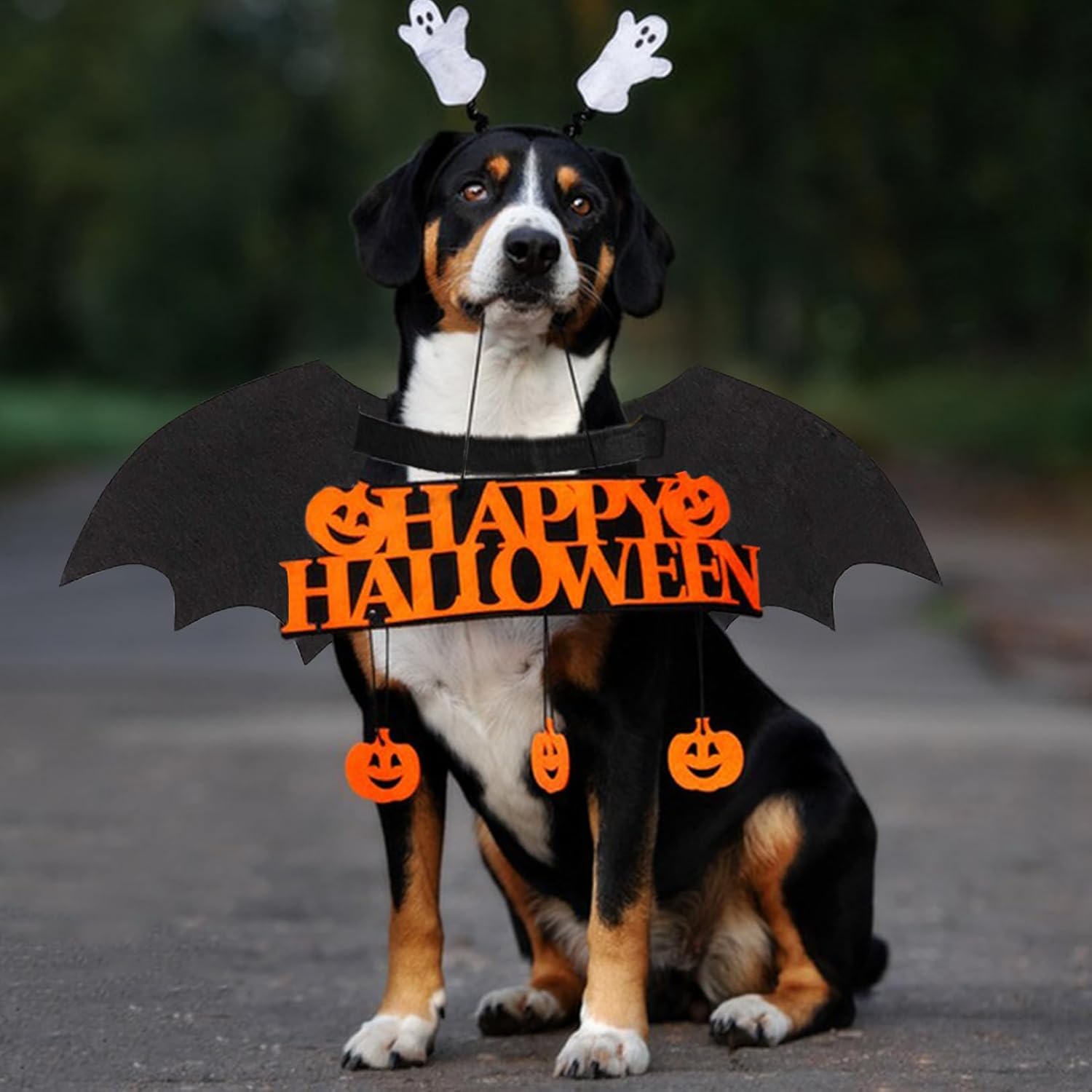 Dog Halloween Costumes